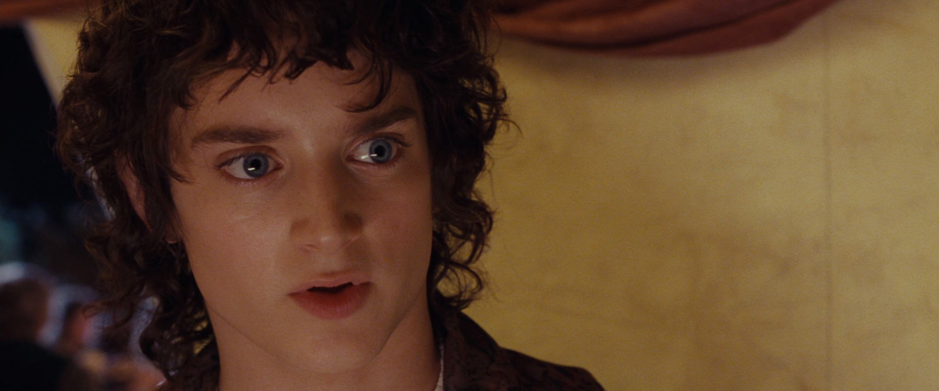 The Lord of the Rings: The Fellowship of the Ring (2001) movie still 2455