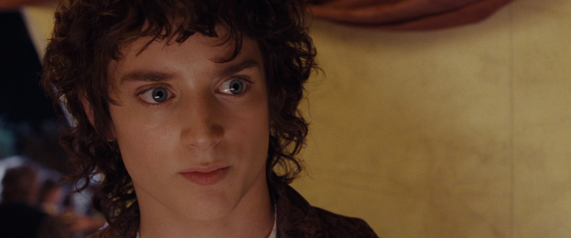 The Lord of the Rings: The Fellowship of the Ring (2001) screencap 2457