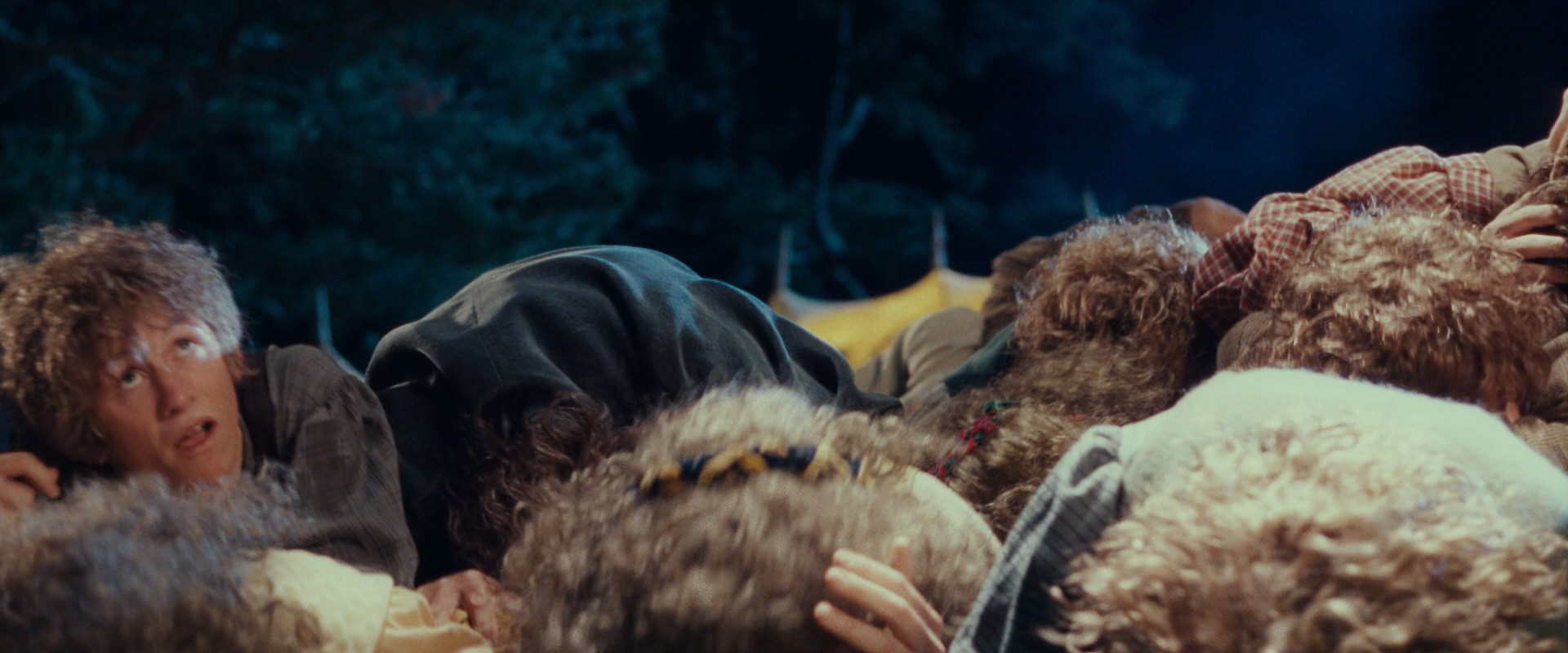 The Lord of the Rings: The Fellowship of the Ring (2001) screencap 2559