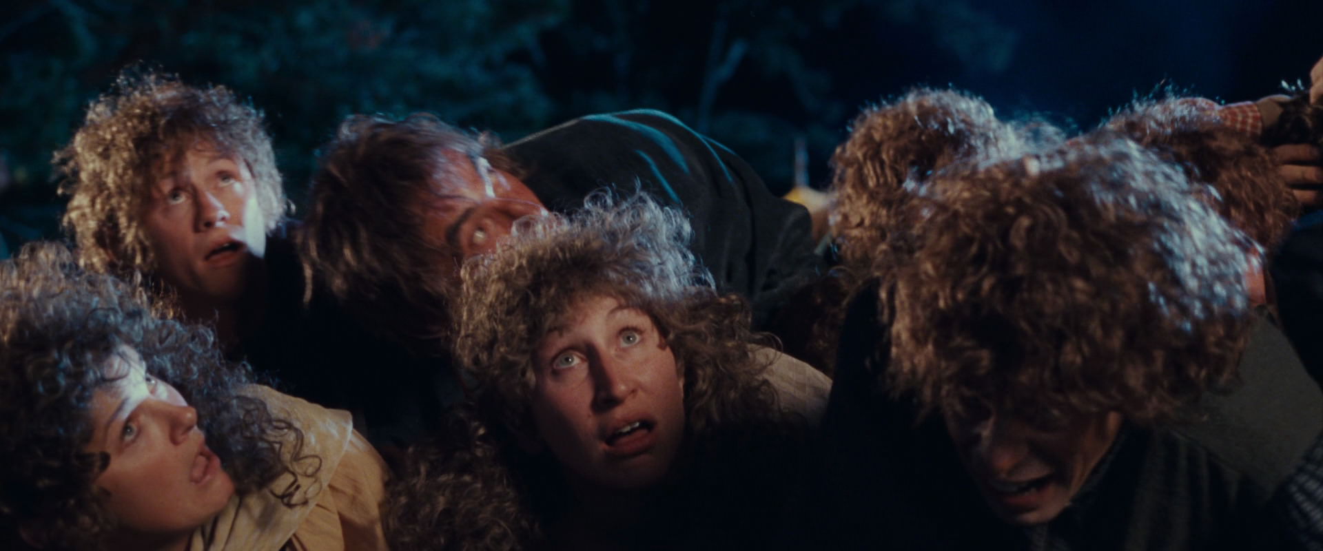 The Lord of the Rings: The Fellowship of the Ring (2001) screencap 2562