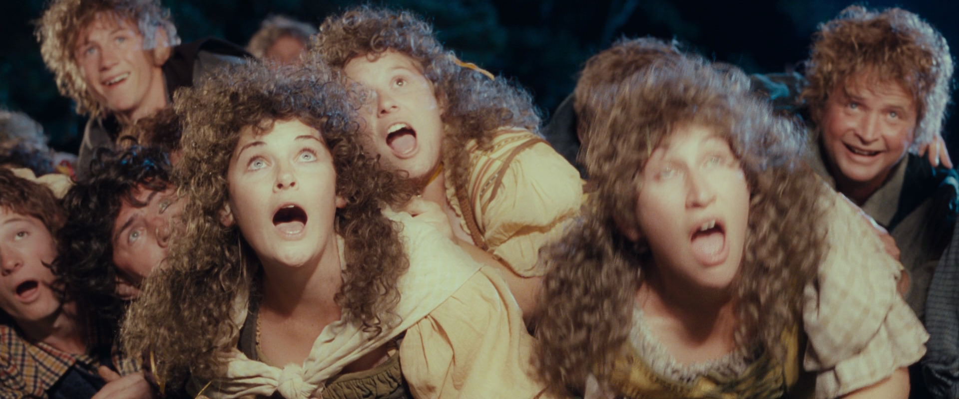 The Lord of the Rings: The Fellowship of the Ring (2001) screencap 2565