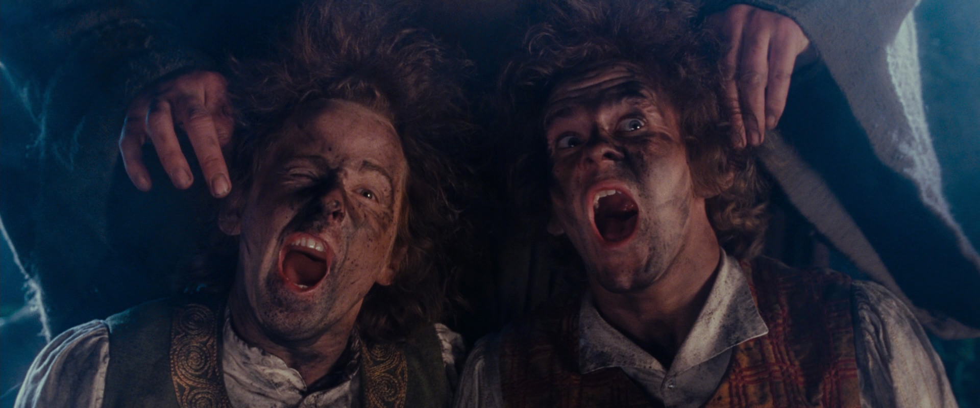 The Lord of the Rings: The Fellowship of the Ring (2001) screencap 2586