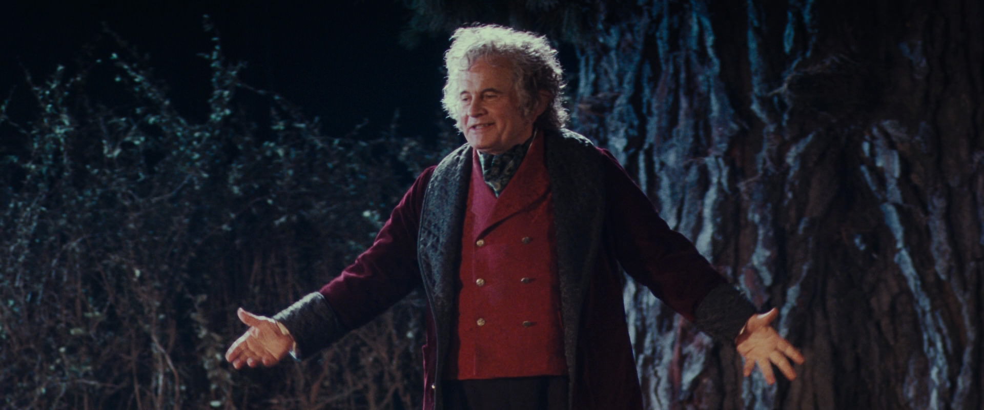 The Lord of the Rings: The Fellowship of the Ring (2001) screencap 2637
