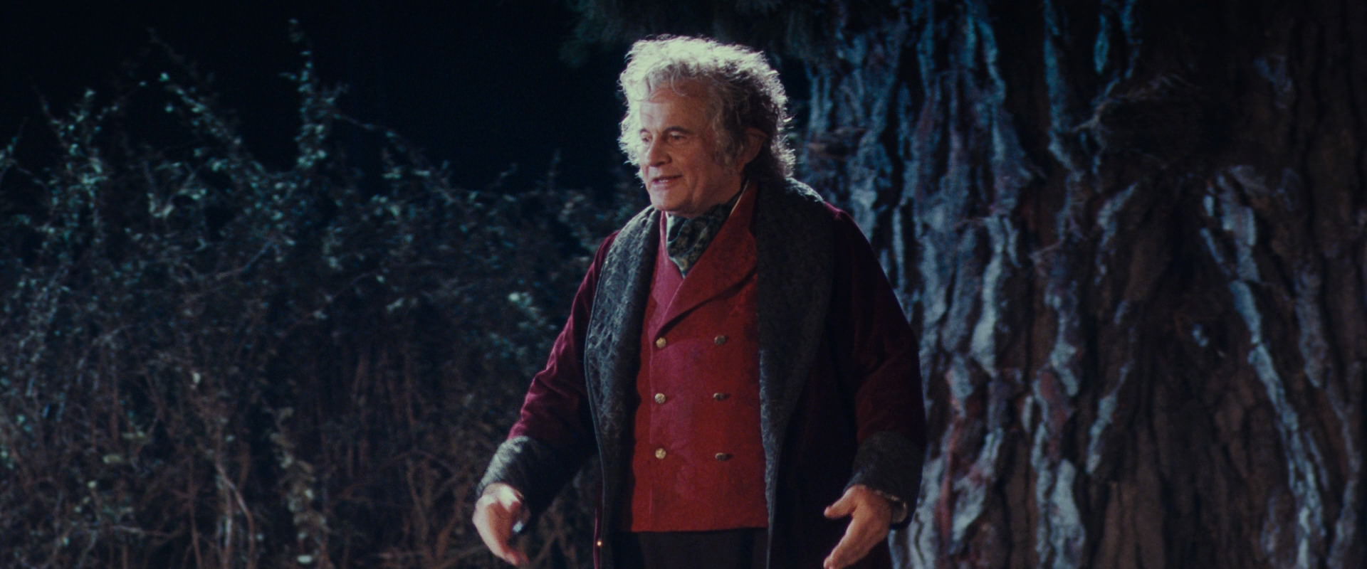 The Lord of the Rings: The Fellowship of the Ring (2001) HD screenshot 2639