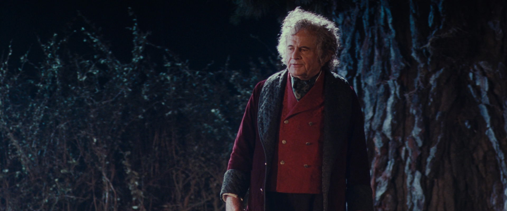 The Lord of the Rings: The Fellowship of the Ring (2001) screencap 2646