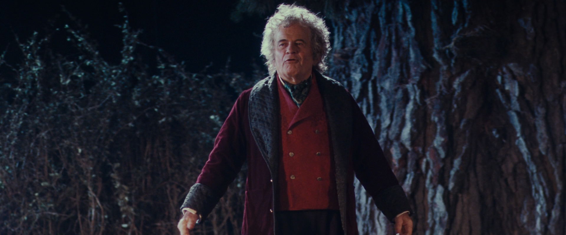 The Lord of the Rings: The Fellowship of the Ring (2001) HD screenshot 2651