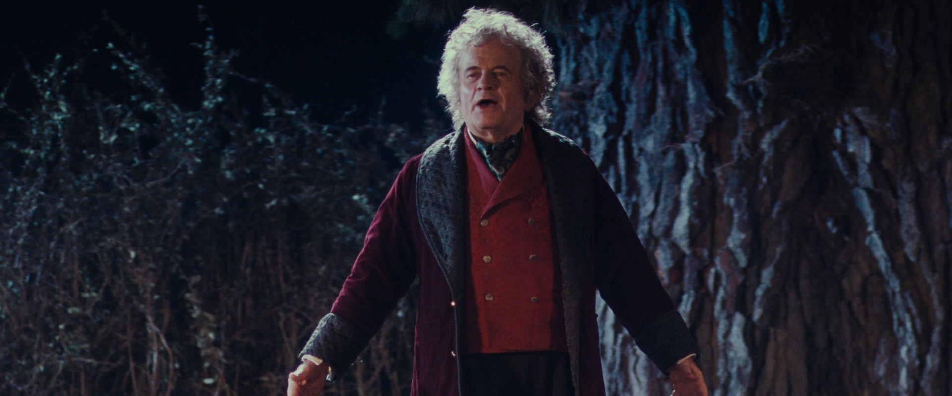 The Lord of the Rings: The Fellowship of the Ring (2001) screencap 2652