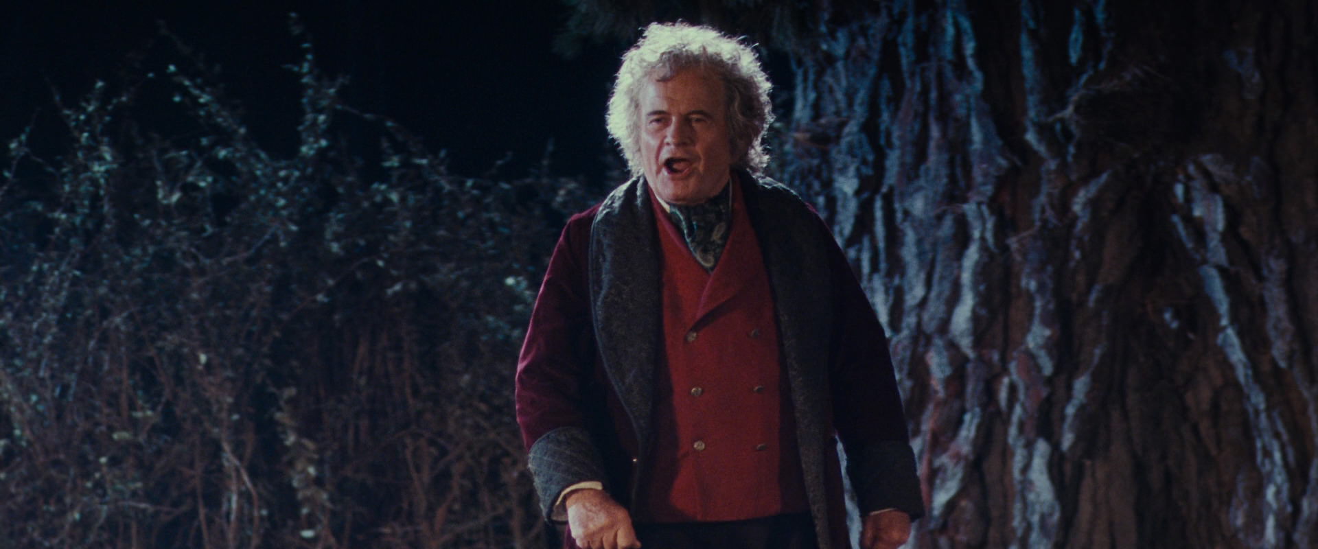 The Lord of the Rings: The Fellowship of the Ring (2001) screencap 2661