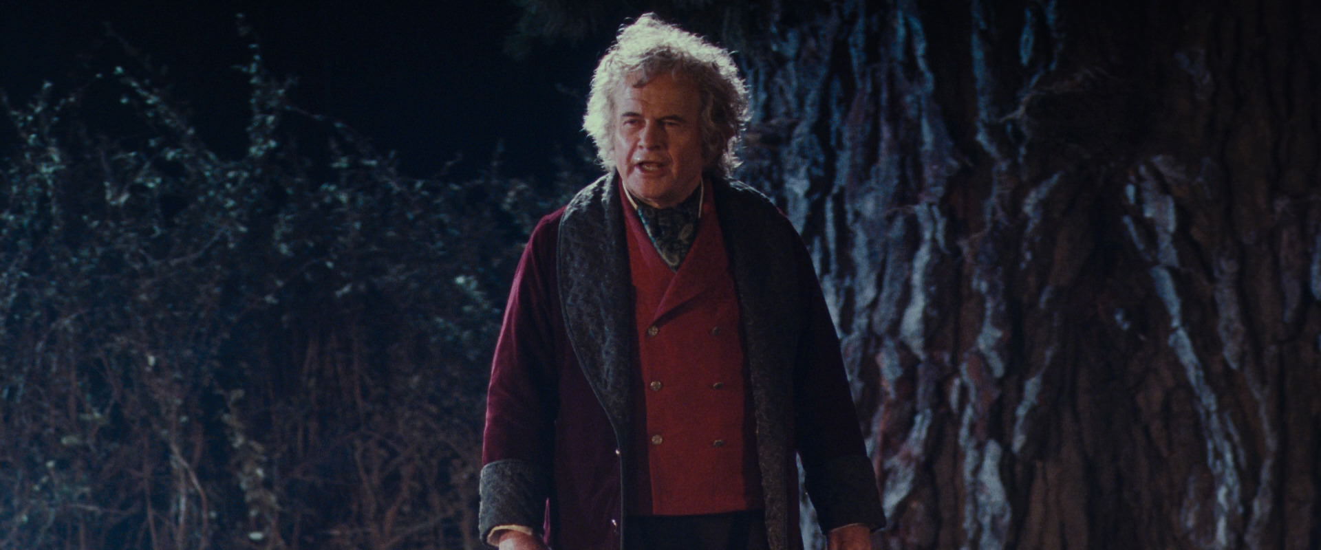 The Lord of the Rings: The Fellowship of the Ring (2001) HD screenshot 2663