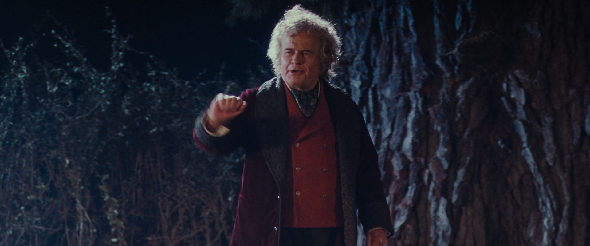 The Lord of the Rings: The Fellowship of the Ring (2001) screencap 2664