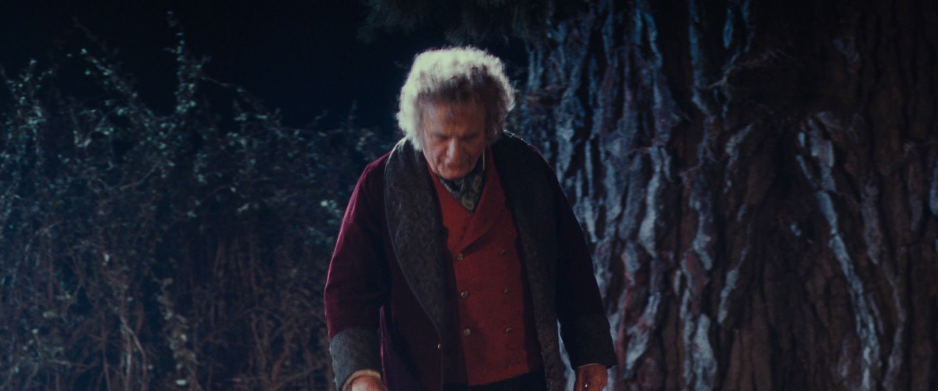 The Lord of the Rings: The Fellowship of the Ring (2001) movie still 2665