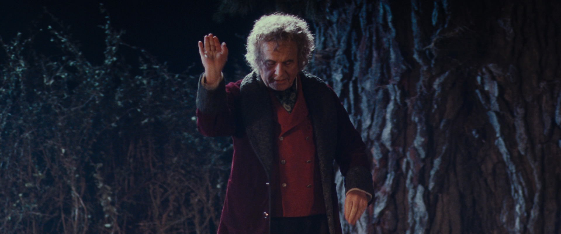 The Lord of the Rings: The Fellowship of the Ring (2001) screencap 2670