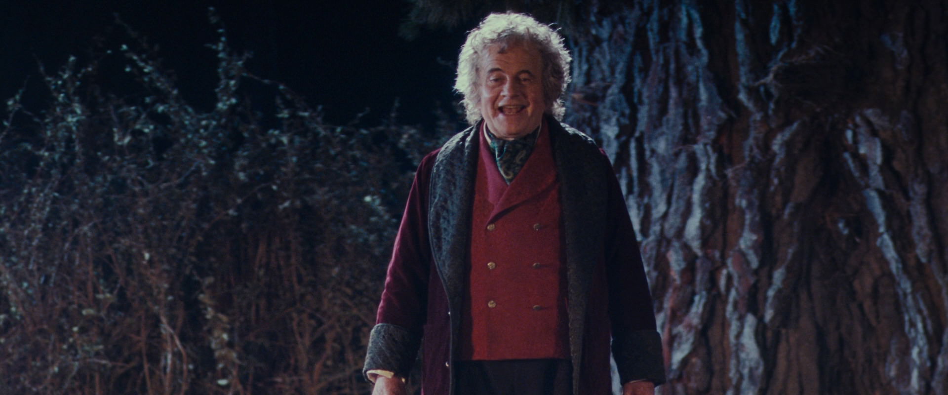The Lord of the Rings: The Fellowship of the Ring (2001) screencap 2673