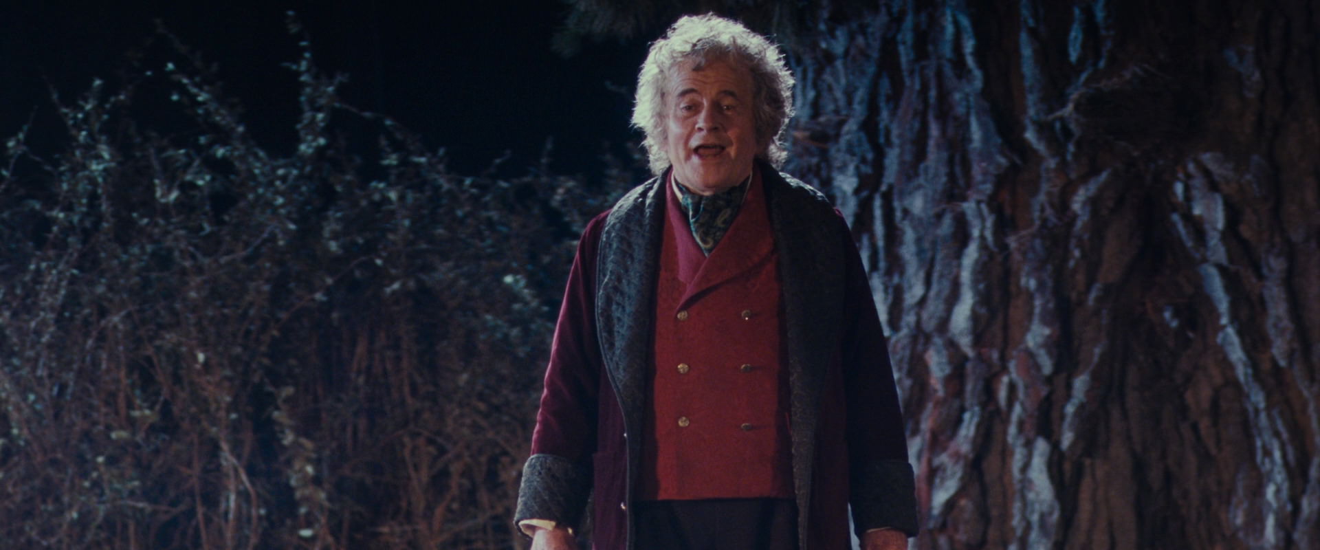 The Lord of the Rings: The Fellowship of the Ring (2001) HD screenshot 2675