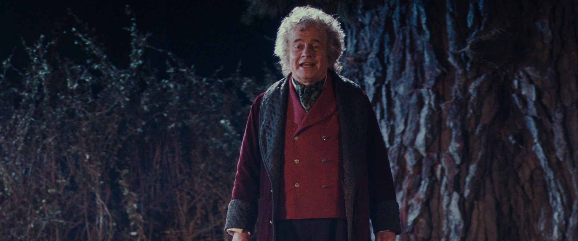 The Lord of the Rings: The Fellowship of the Ring (2001) screencap 2676