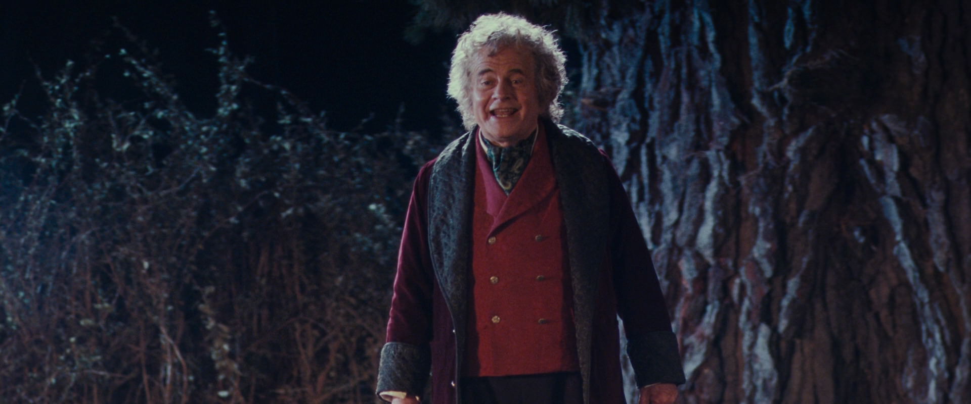 The Lord of the Rings: The Fellowship of the Ring (2001) screencap 2679