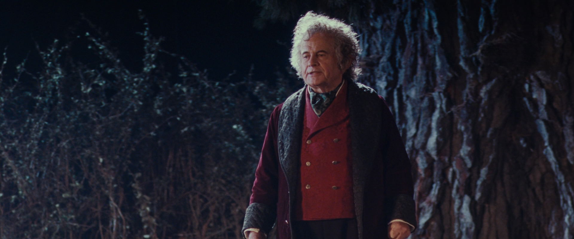 The Lord of the Rings: The Fellowship of the Ring (2001) movie still 2695