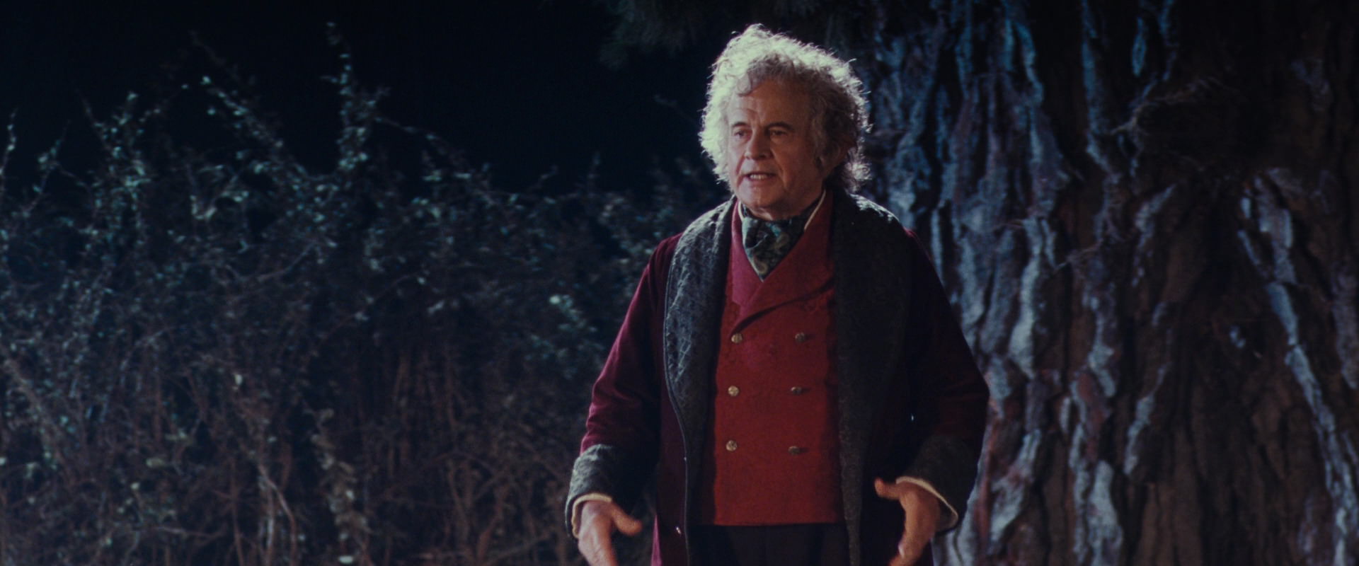 The Lord of the Rings: The Fellowship of the Ring (2001) screencap 2697