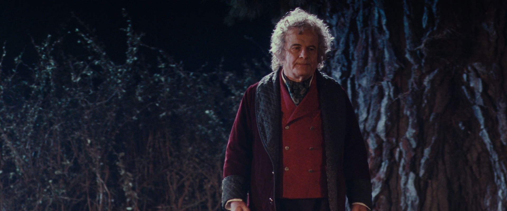 The Lord of the Rings: The Fellowship of the Ring (2001) HD screenshot 2699