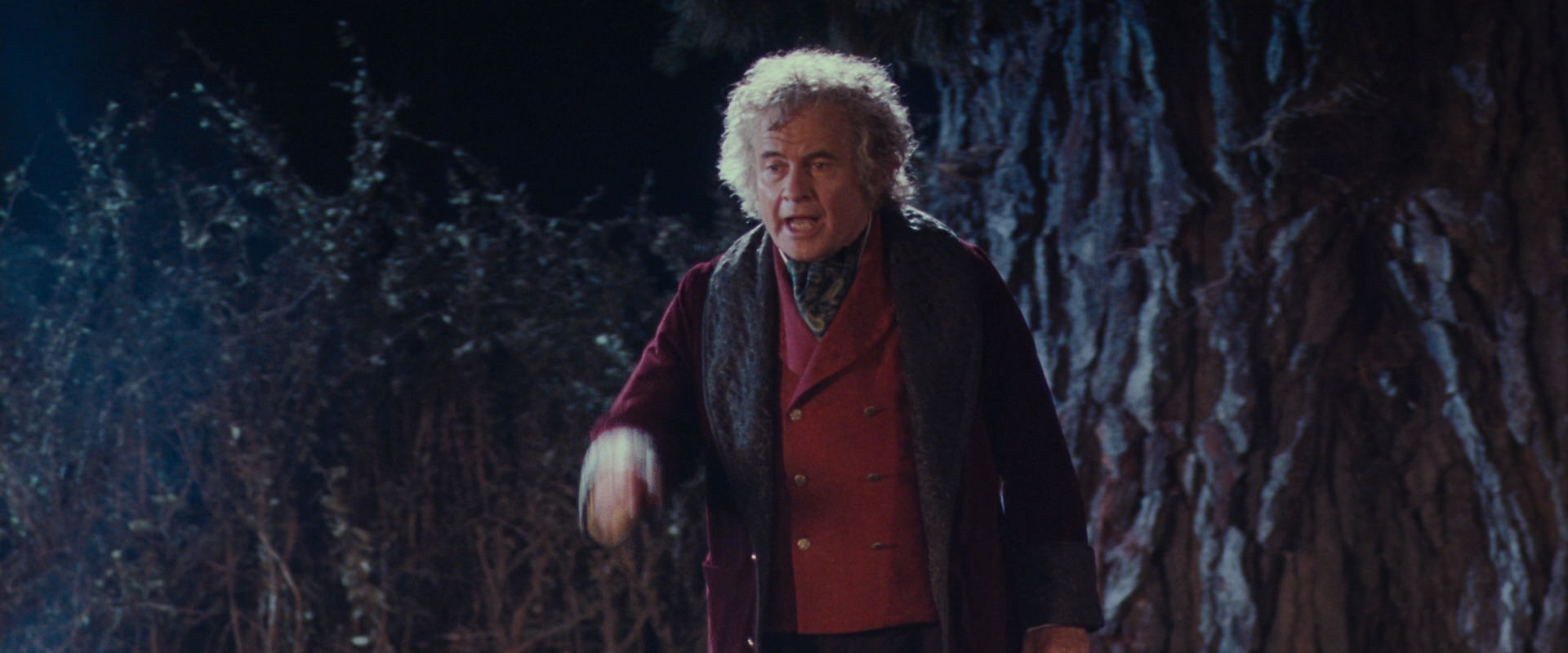 The Lord of the Rings: The Fellowship of the Ring (2001) screencap 2709