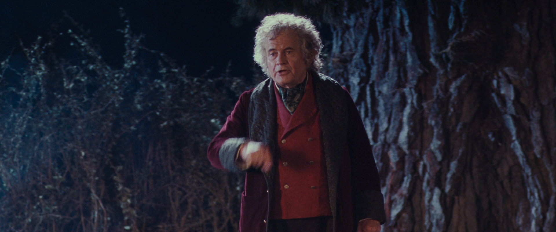 The Lord of the Rings: The Fellowship of the Ring (2001) screencap 2712