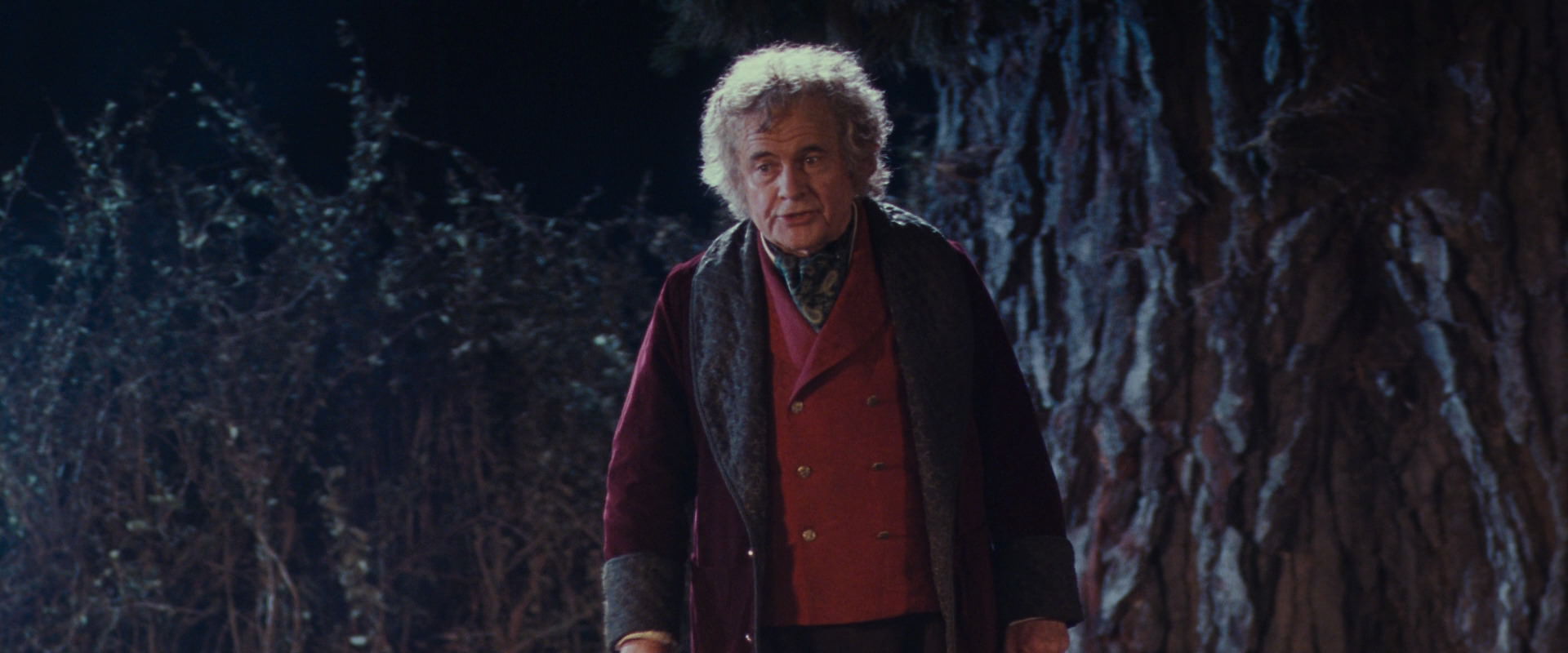 The Lord of the Rings: The Fellowship of the Ring (2001) HD screenshot 2714
