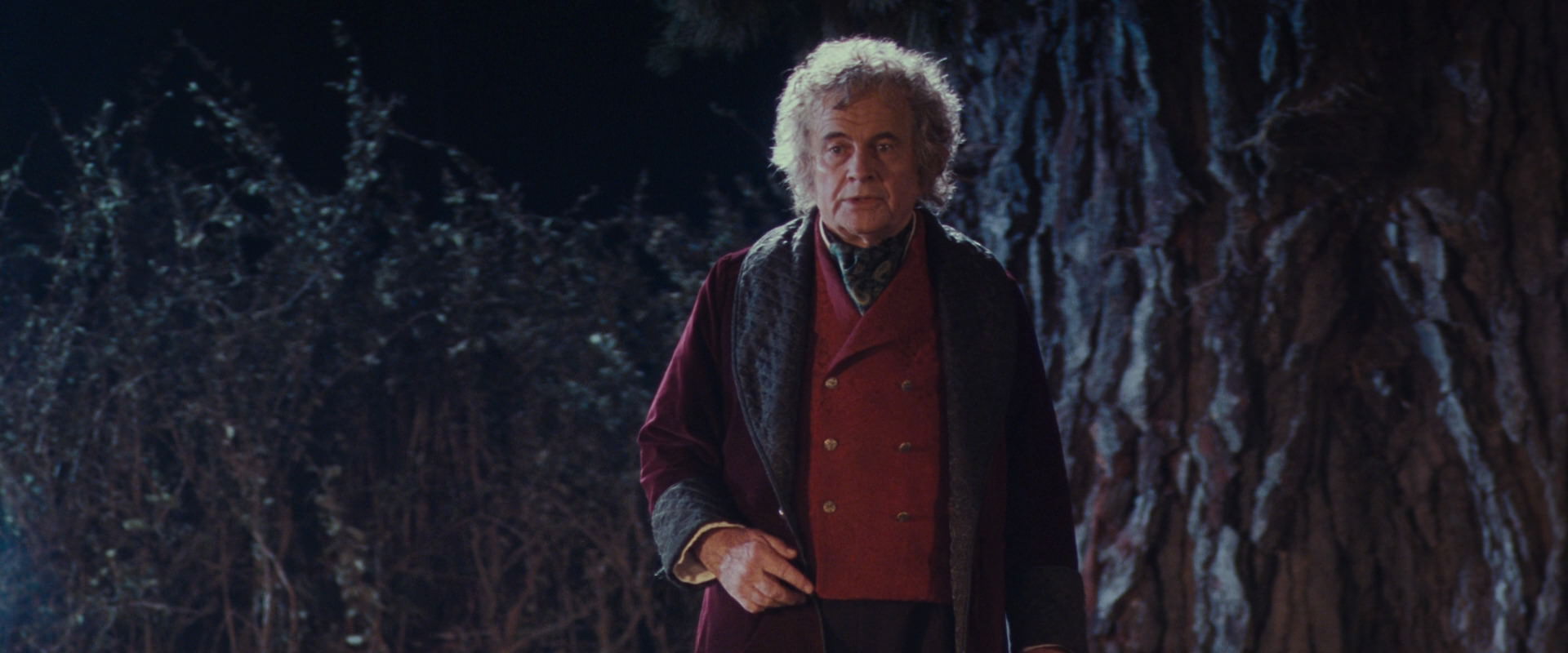 The Lord of the Rings: The Fellowship of the Ring (2001) screencap 2727