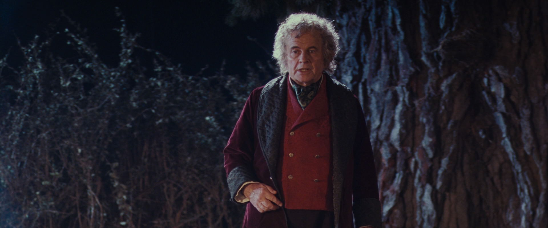 The Lord of the Rings: The Fellowship of the Ring (2001) HD screenshot 2729