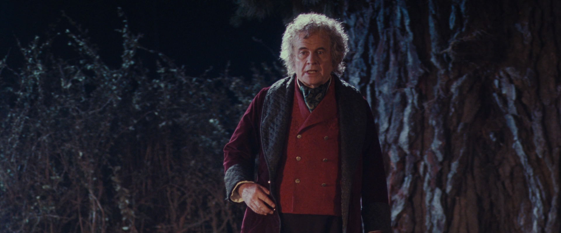 The Lord of the Rings: The Fellowship of the Ring (2001) screencap 2730