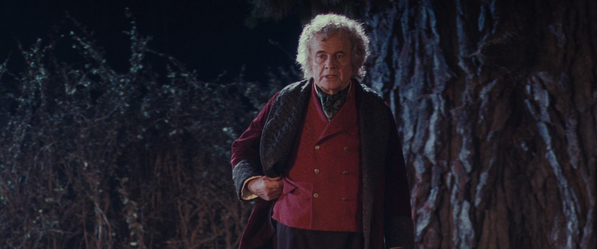 The Lord of the Rings: The Fellowship of the Ring (2001) screencap 2733
