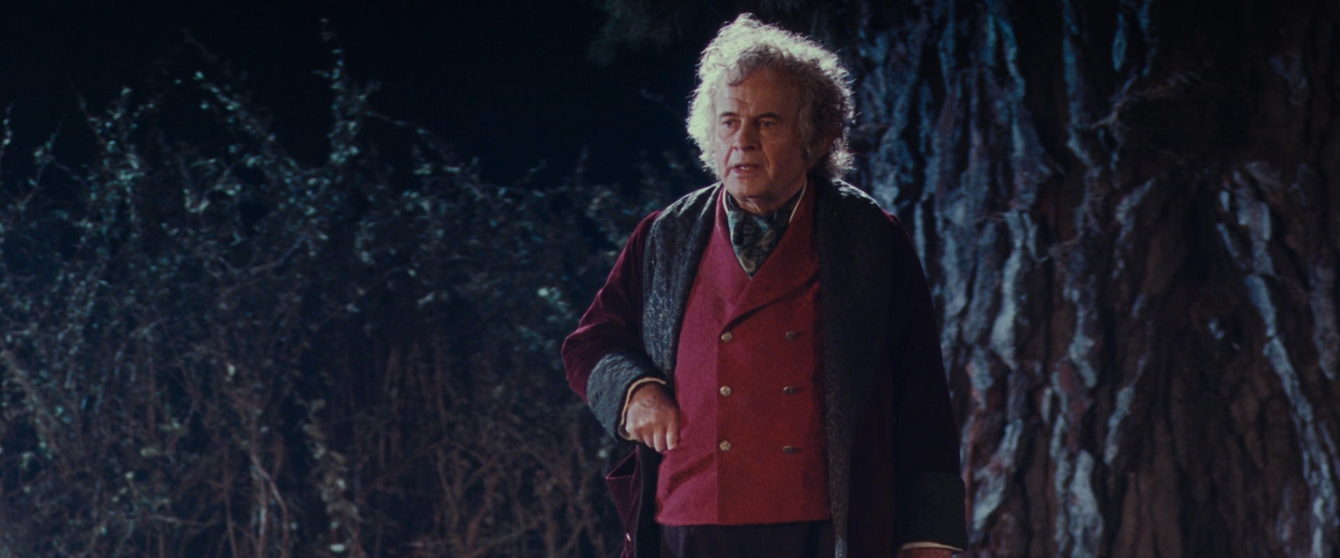 The Lord of the Rings: The Fellowship of the Ring (2001) screencap 2739