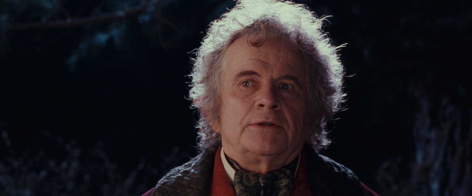 The Lord of the Rings: The Fellowship of the Ring (2001) screencap 2769