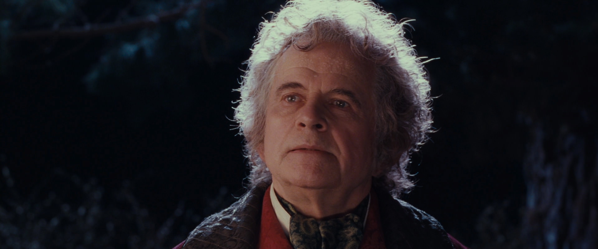 The Lord of the Rings: The Fellowship of the Ring (2001) screencap 2775