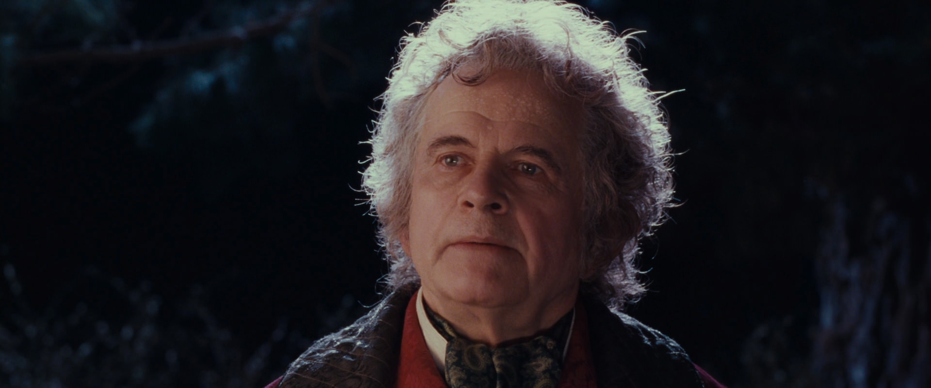The Lord of the Rings: The Fellowship of the Ring (2001) screencap 2778