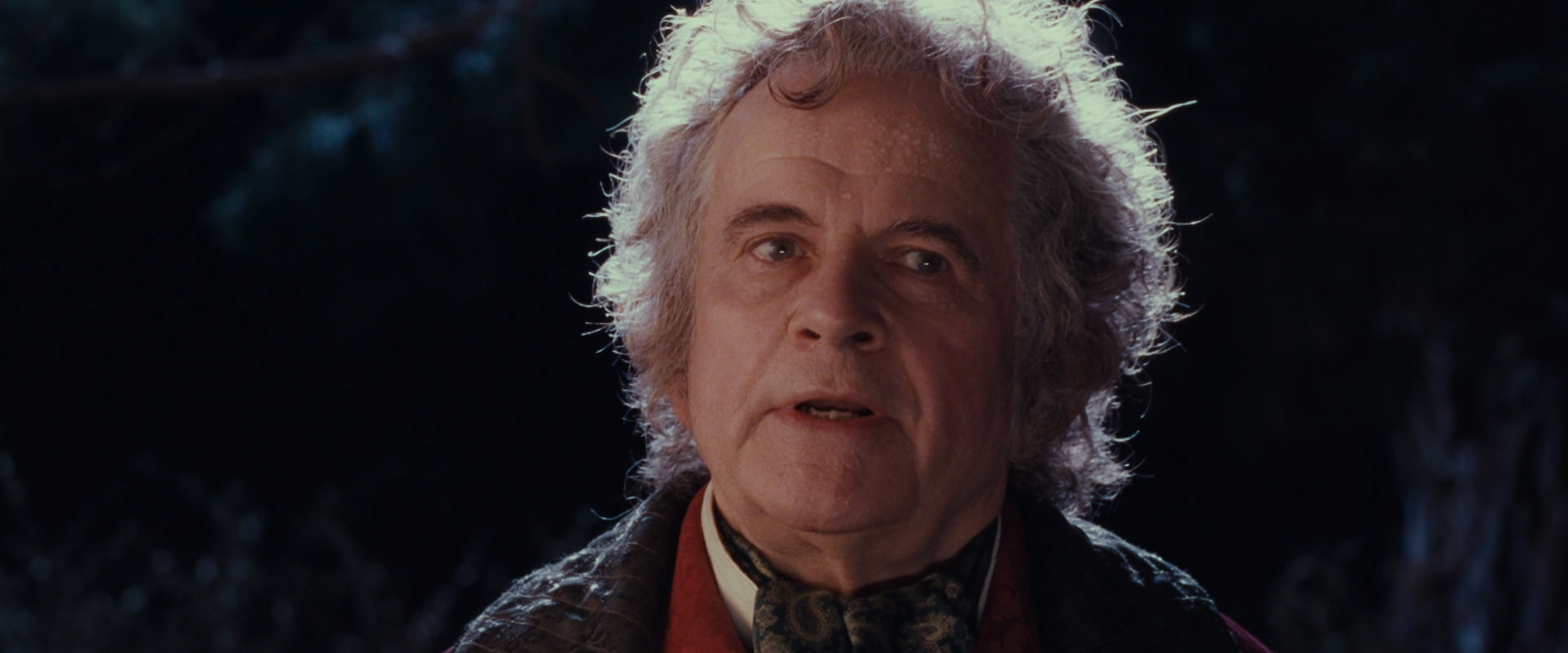 The Lord of the Rings: The Fellowship of the Ring (2001) screencap 2784