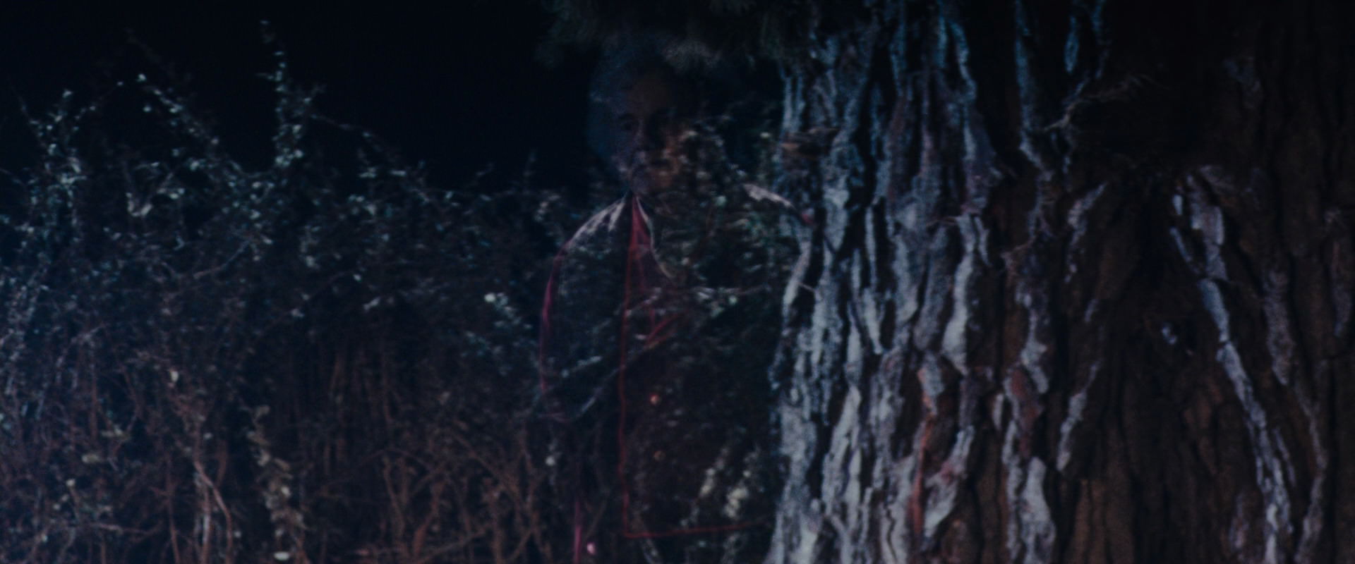 The Lord of the Rings: The Fellowship of the Ring (2001) screencap 2796