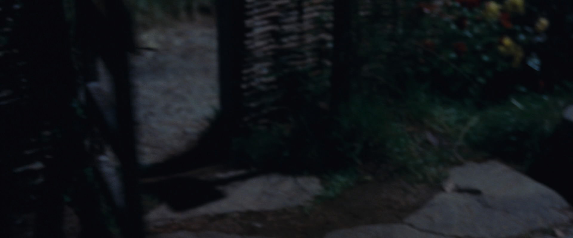 The Lord of the Rings: The Fellowship of the Ring (2001) HD screenshot 2813