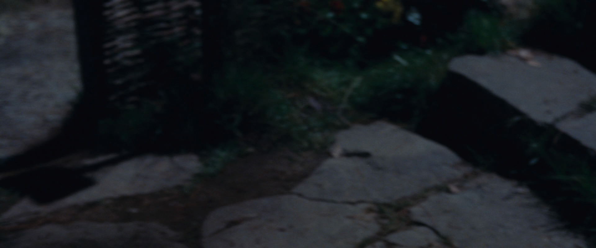 The Lord of the Rings: The Fellowship of the Ring (2001) screencap 2814