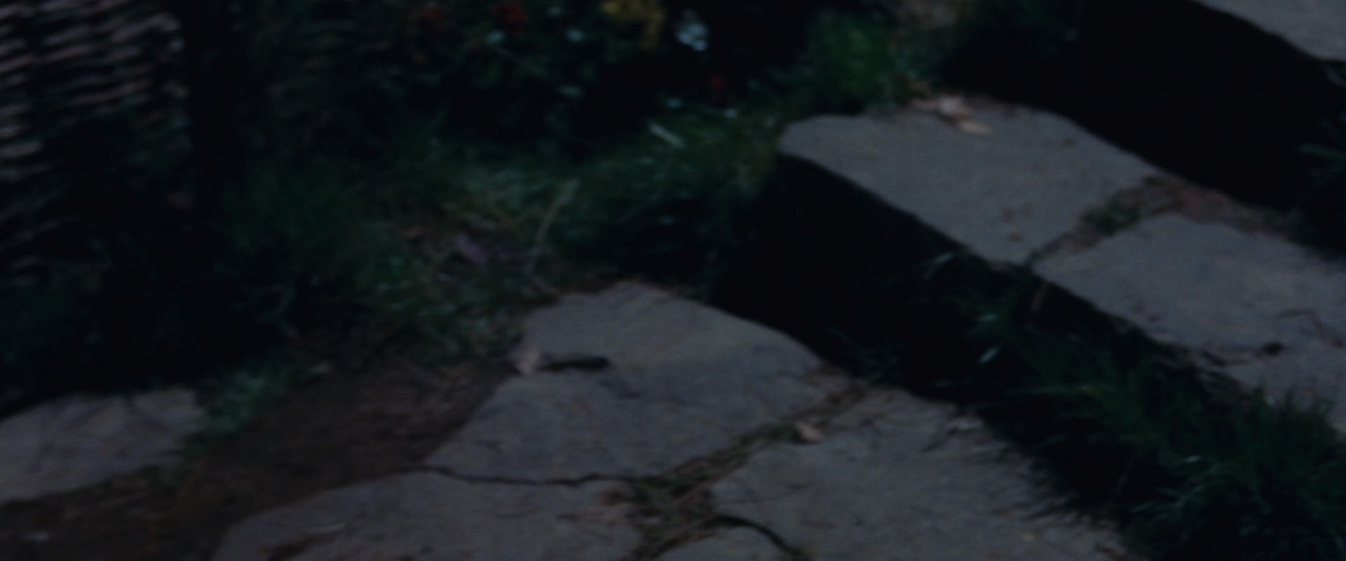 The Lord of the Rings: The Fellowship of the Ring (2001) movie still 2815