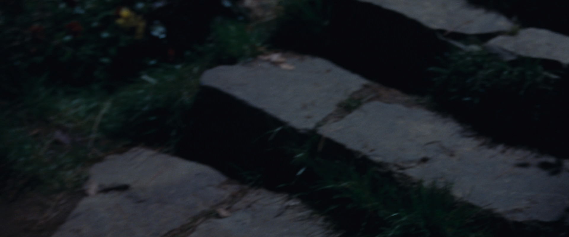 The Lord of the Rings: The Fellowship of the Ring (2001) HD screenshot 2816
