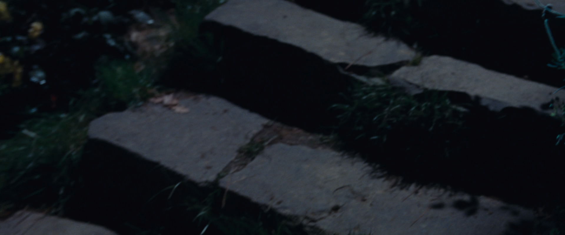 The Lord of the Rings: The Fellowship of the Ring (2001) screencap 2817