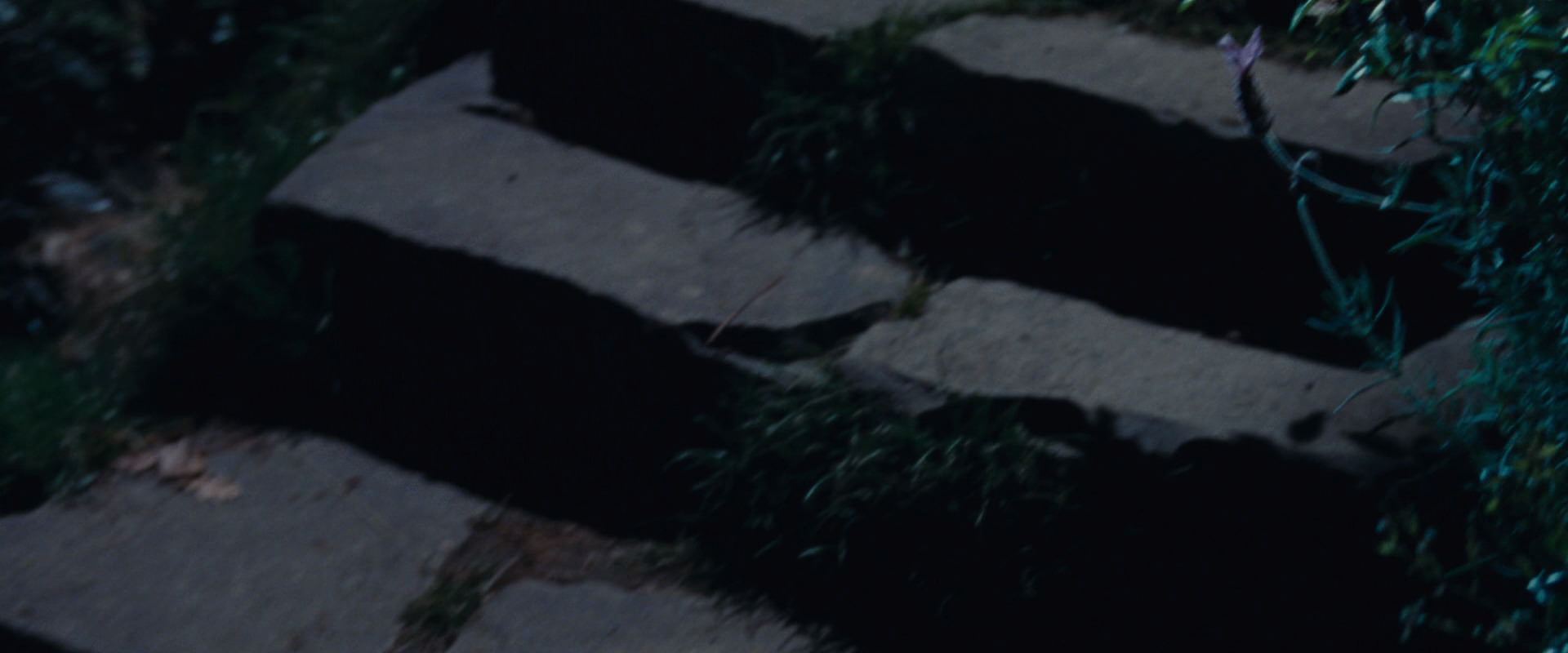 The Lord of the Rings: The Fellowship of the Ring (2001) movie still 2818