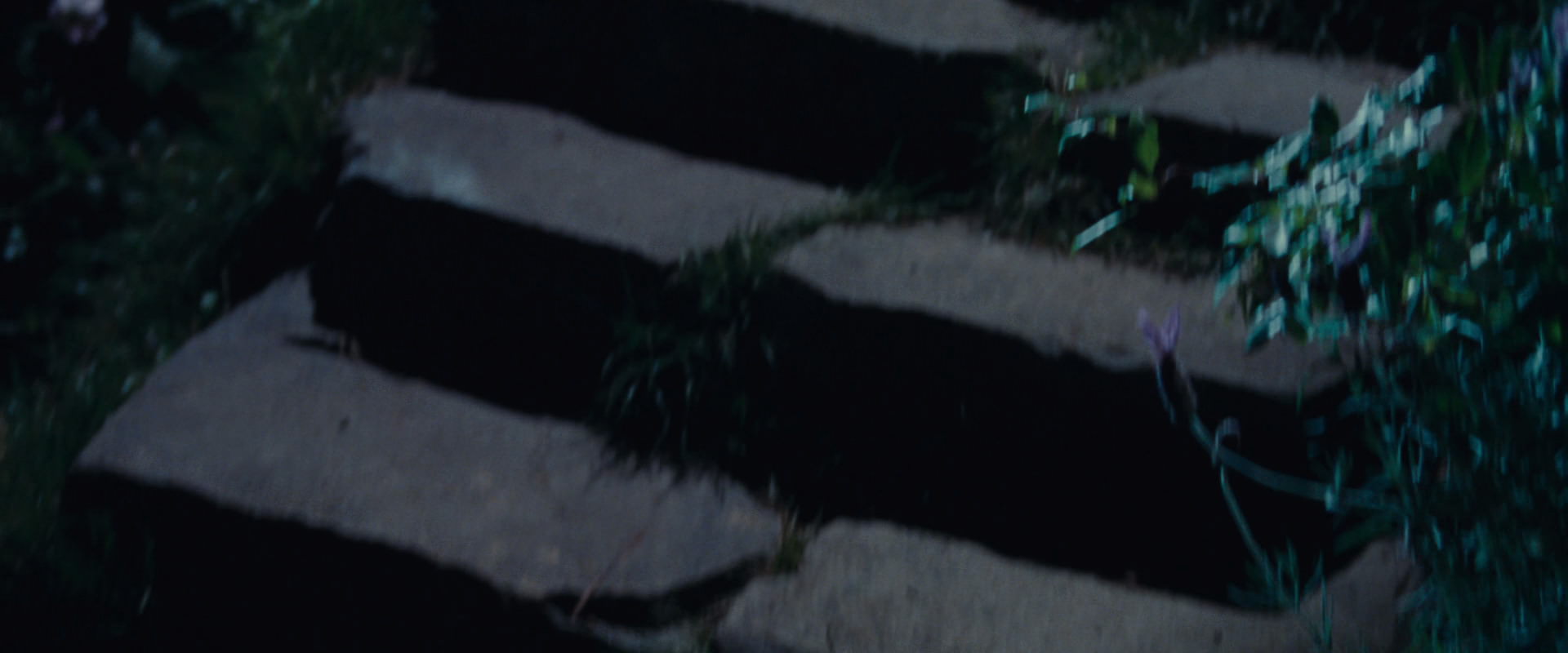 The Lord of the Rings: The Fellowship of the Ring (2001) HD screenshot 2819