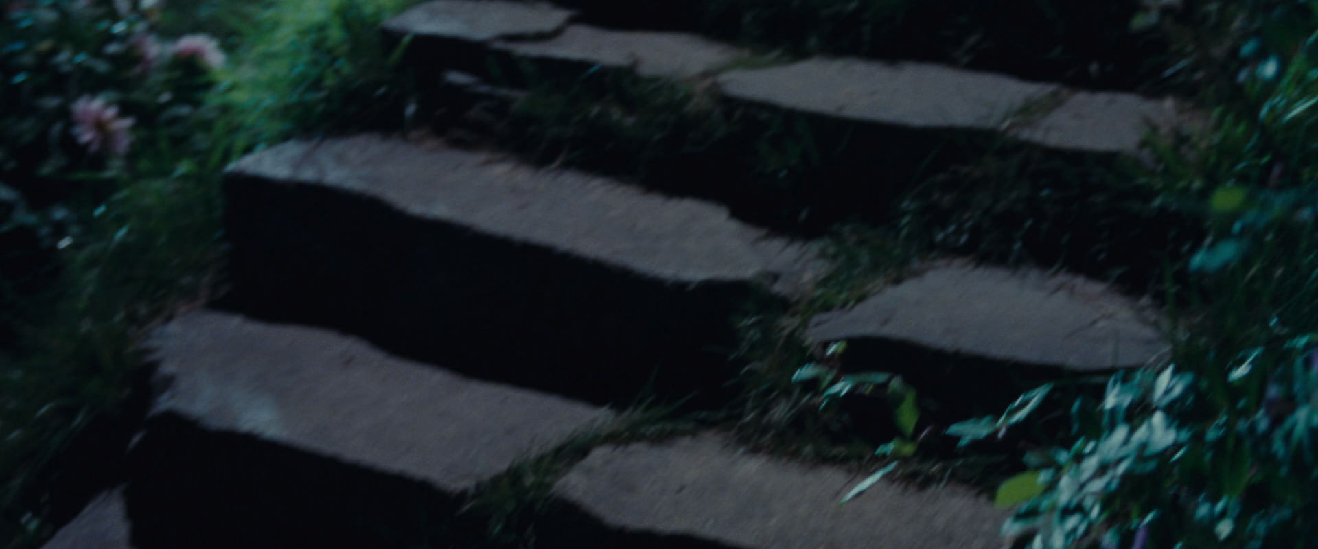 The Lord of the Rings: The Fellowship of the Ring (2001) screencap 2820