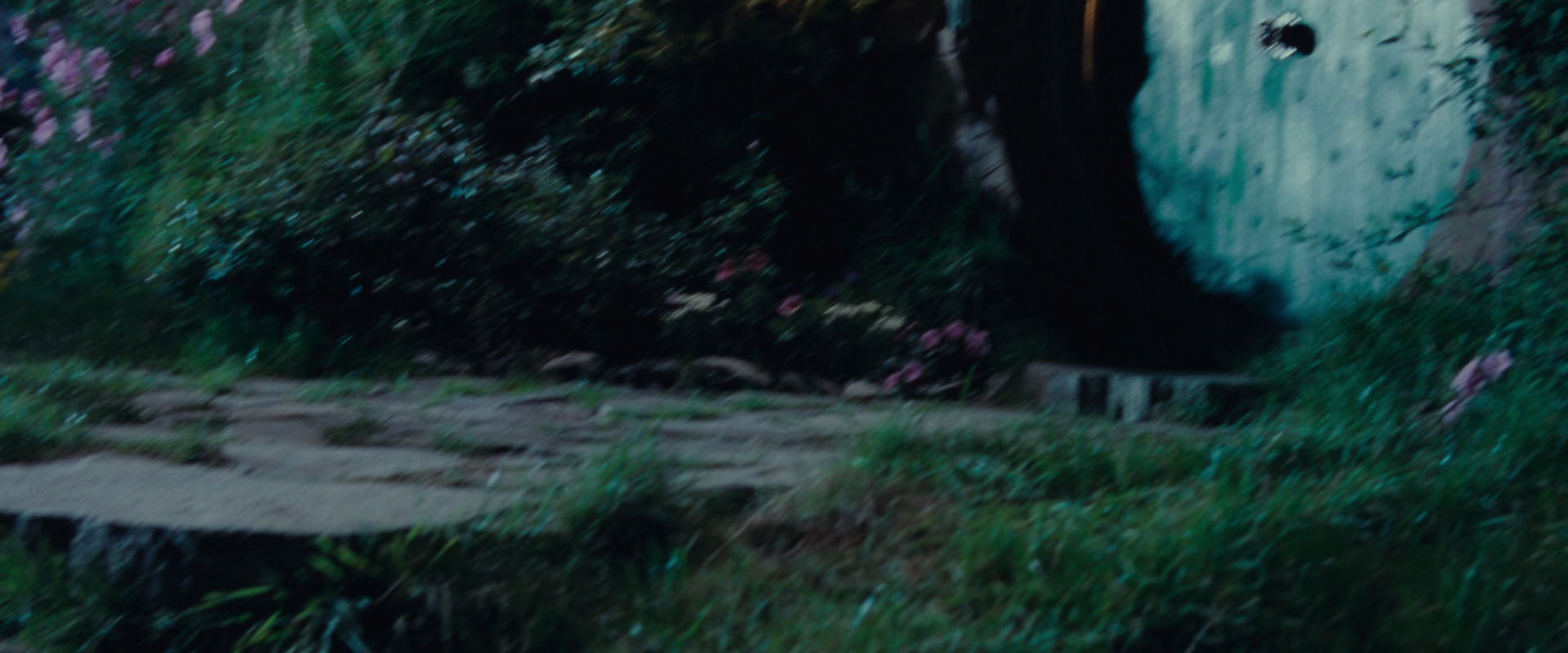 The Lord of the Rings: The Fellowship of the Ring (2001) screencap 2826