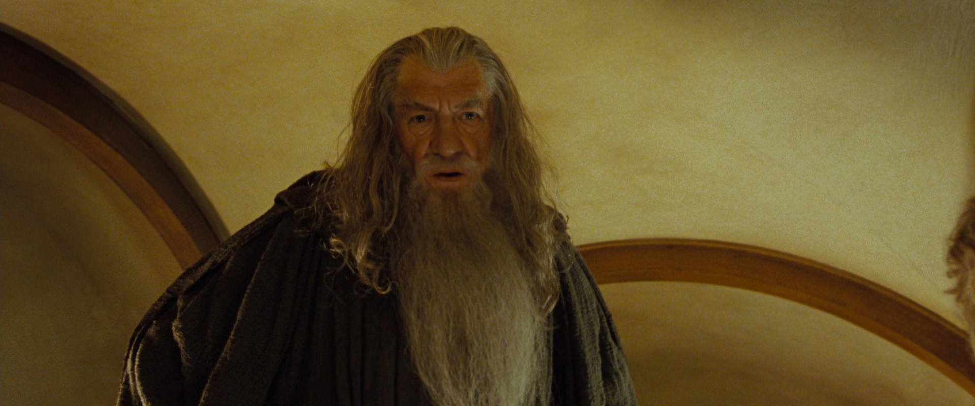 The Lord of the Rings: The Fellowship of the Ring (2001) screencap 3066