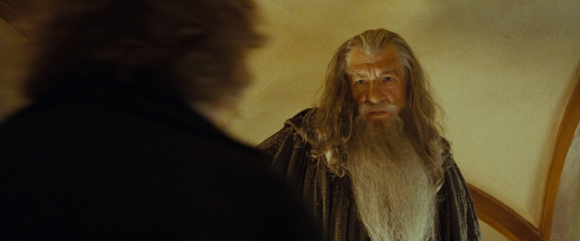 The Lord of the Rings: The Fellowship of the Ring (2001) screencap 3069