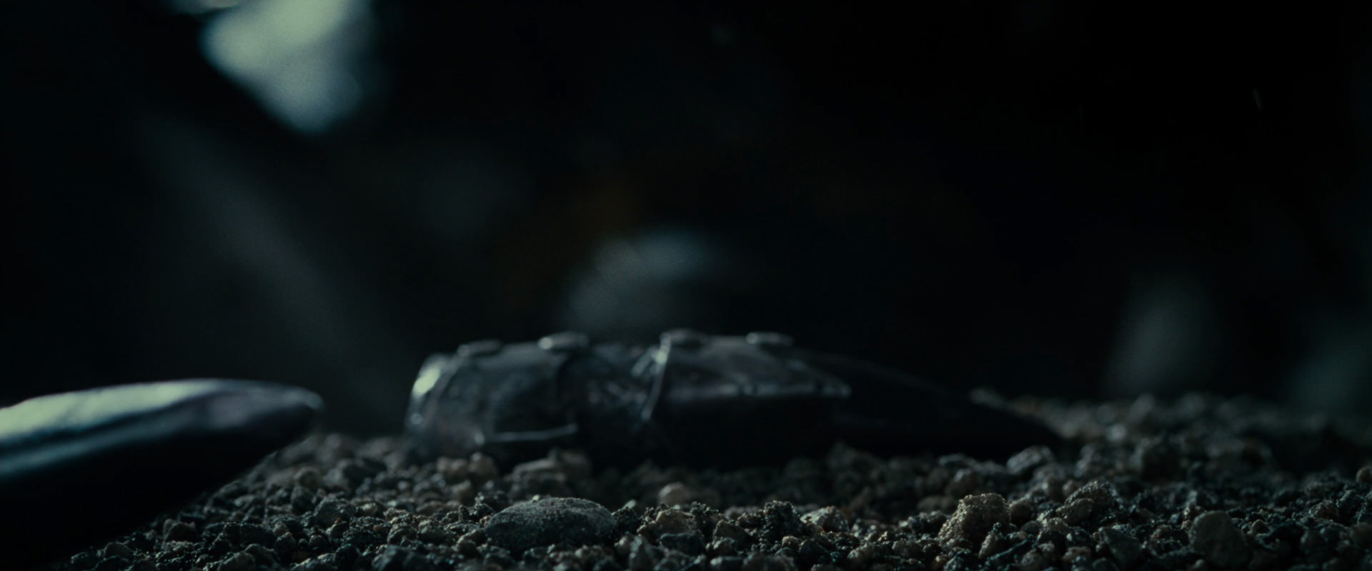 The Lord of the Rings: The Fellowship of the Ring (2001) HD screenshot 308