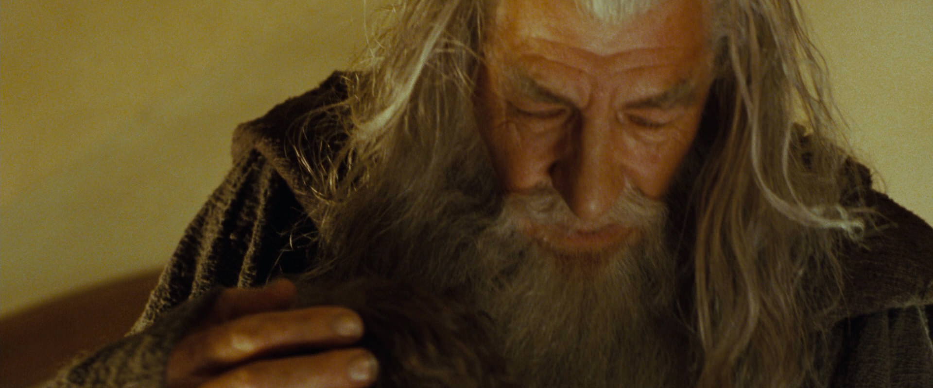 The Lord of the Rings: The Fellowship of the Ring (2001) screencap 3123