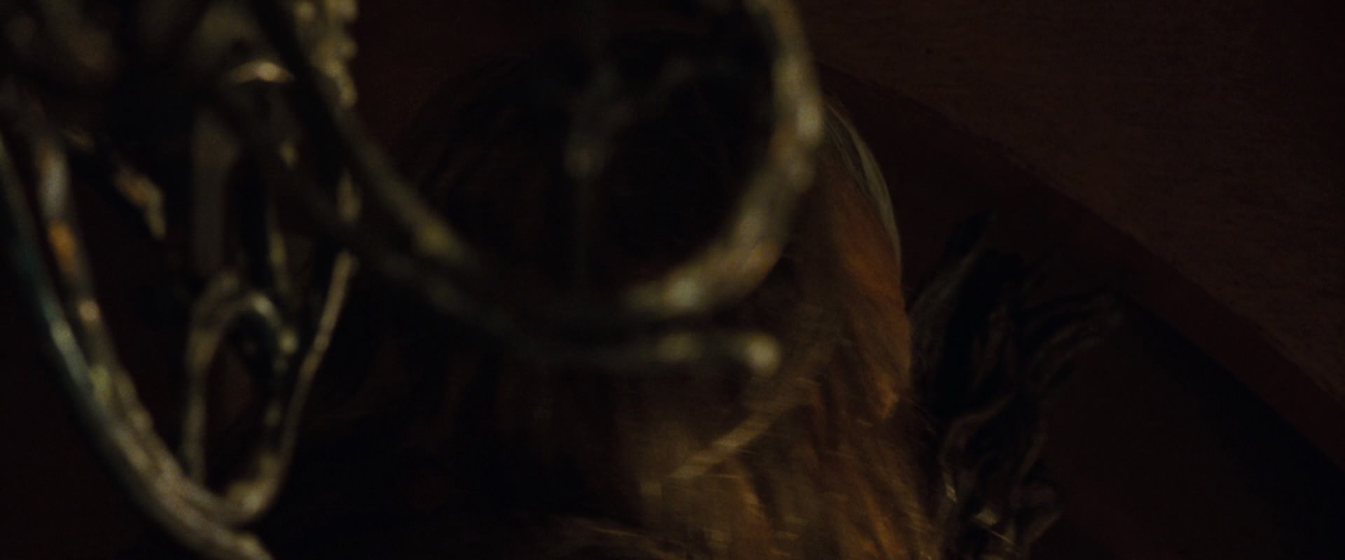The Lord of the Rings: The Fellowship of the Ring (2001) HD screenshot 3560